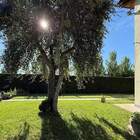 F Tale Immersa Nel Ferienhaus Malalbergo