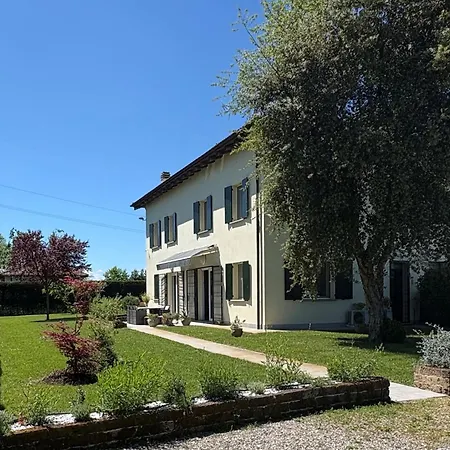 F Tale Immersa Nel