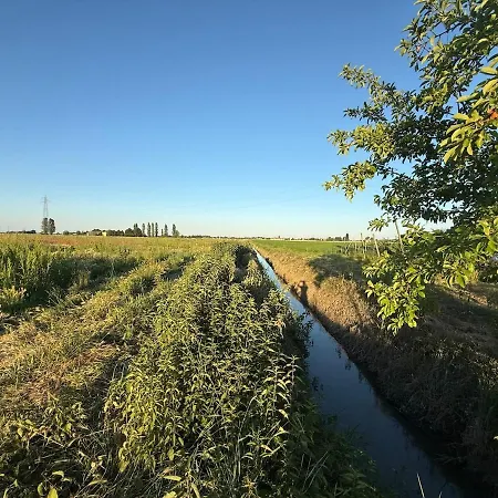 F Tale Immersa Nel Malalbergo